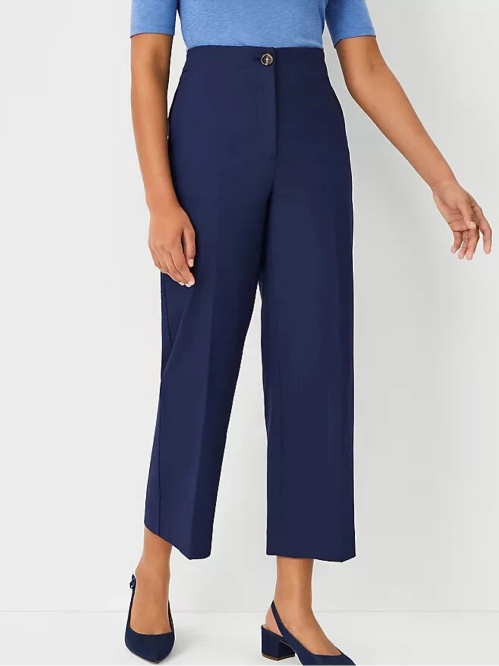 Ann Taylor Petites The Kate Wide Leg Crop- worn once. 139 retail